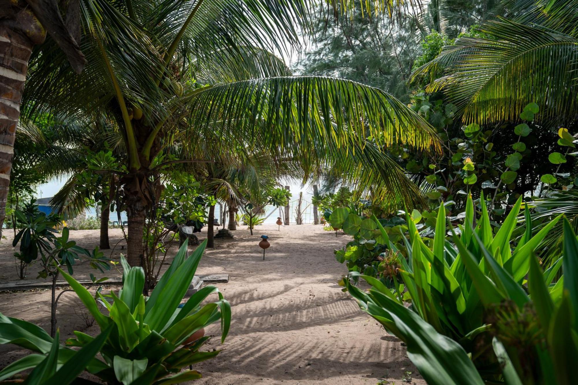 Amanta Beach نيلافيلي المظهر الخارجي الصورة